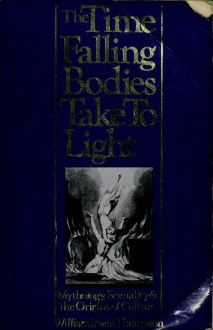 Book cover for The Time Falling Bodies Take to Light