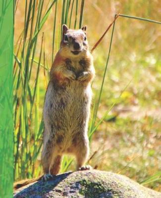 Book cover for Cute Rocky Mountain Wildlife Photograph