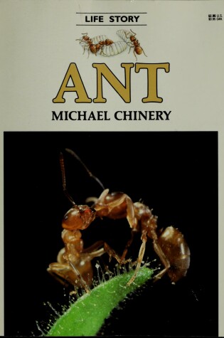 Cover of Ant - Pbk (Life Story)