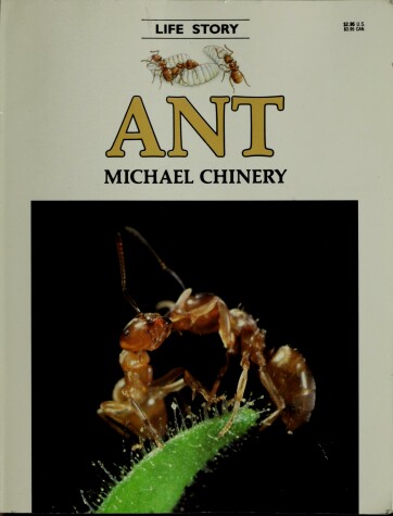 Cover of Ant - Pbk (Life Story)