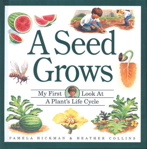 Book cover for A Seed Grows