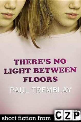 Cover of There's No Light Between Floors