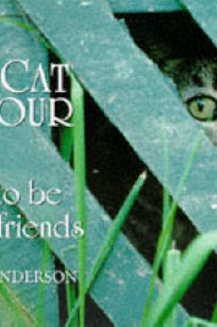 Cover of Cat in Your Life