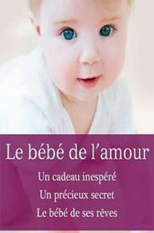Cover of Le Bebe de L'Amour
