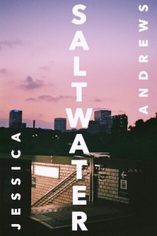 Cover of Saltwater: Winner of the Portico Prize