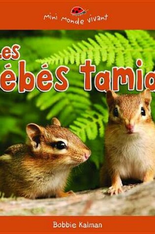 Cover of Les Bebes Tamias