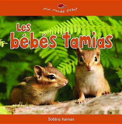Book cover for Les Bebes Tamias