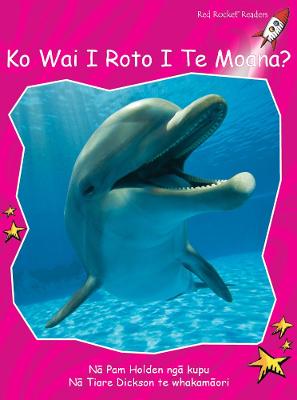 Book cover for Who Lives in the Sea? te reo Māori - Ko Wai i Roto i Te Moana?