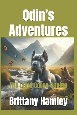 Book cover for Odin's Adventures