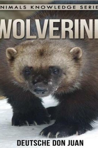 Cover of Wolverine