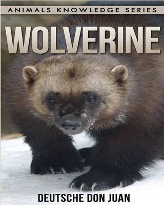 Cover of Wolverine