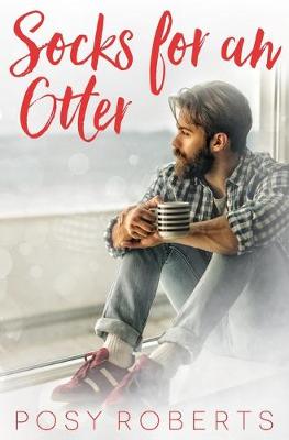 Book cover for Socks for an Otter