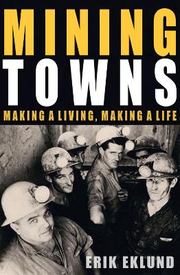 Book cover for Mining Towns