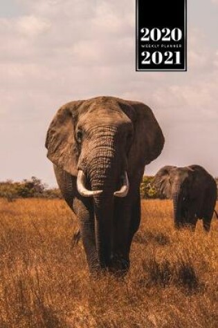 Cover of Elephant Mammoth Week Planner Weekly Organizer Calendar 2020 / 2021 - Two Friends