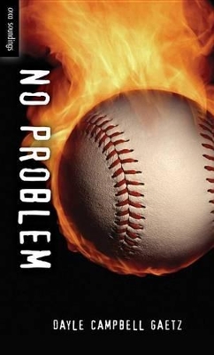 Book cover for No Problem