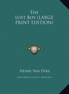 Book cover for The Lost Boy