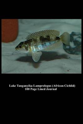 Book cover for Lake Tanganyika Lamprologus (African Cichlid) 100 Page Lined Journal