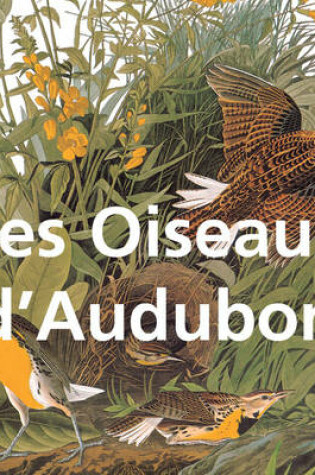 Cover of Les Oiseaux d'Audubon