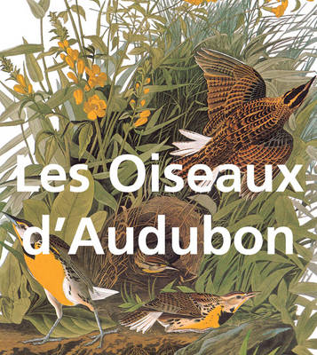 Cover of Les Oiseaux d'Audubon