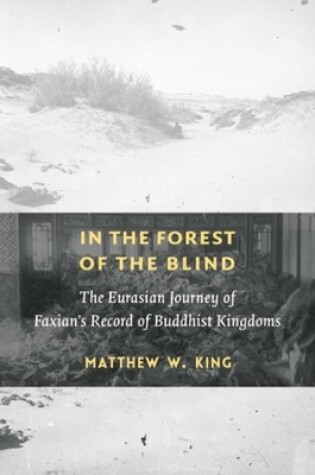 Cover of In the Forest of the Blind
