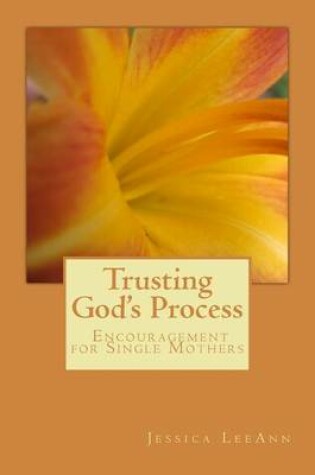 Cover of Trusting God's Process