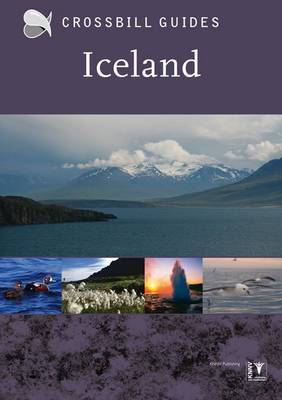 Book cover for Iceland