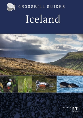 Book cover for Iceland