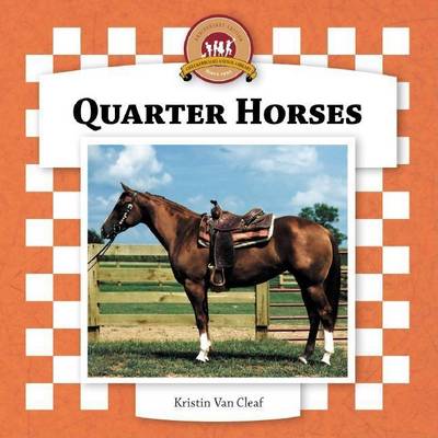 Book cover for Quarter Horses