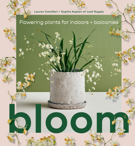 Cover of Bloom