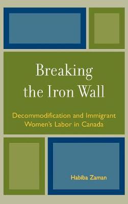 Book cover for Breaking the Iron Wall