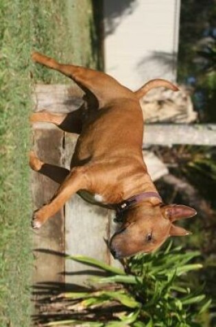 Cover of Brown Miniature Bull Terrier Dog Journal