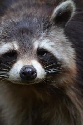 Book cover for Super Cute Trash Panda Raccoon Journal