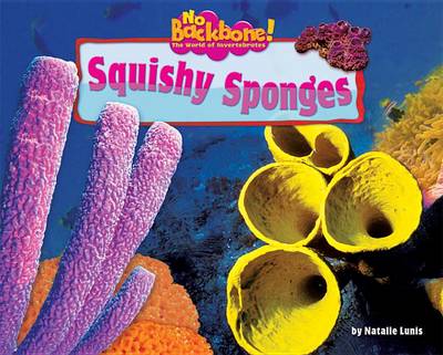 Cover of Squishy Sponges