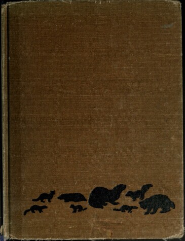 Book cover for Weasels, Otters, Skunks, and Their Family