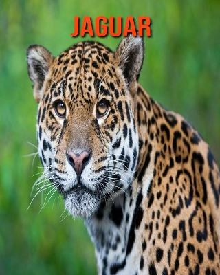 Book cover for Jaguar