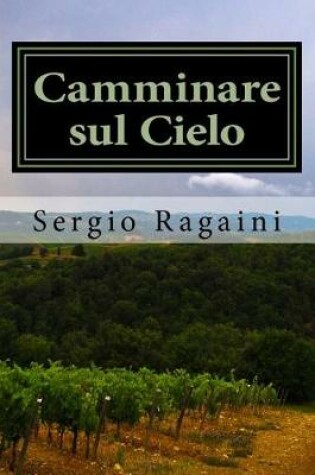 Cover of Camminare Sul Cielo