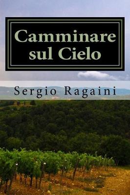 Book cover for Camminare Sul Cielo