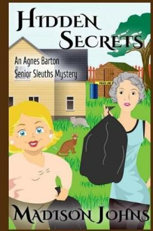 Cover of Hidden Secrets