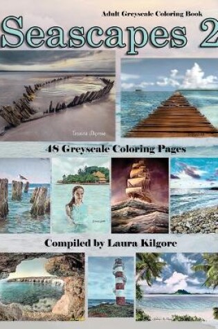 Cover of Seascapes 2