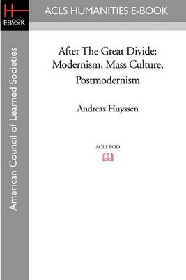 Book cover for After the Great Divide