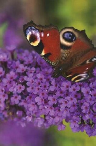 Cover of Peacock Butterfly on Purple Lilac Journal