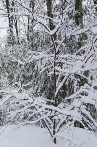 Cover of Winter Journal Scenic Snowy Forest