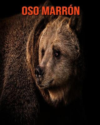 Book cover for Oso marrón