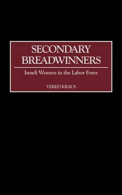 Book cover for Secondary Breadwinners