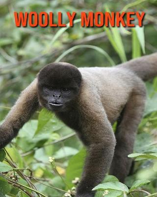 Book cover for Woolly Monkey