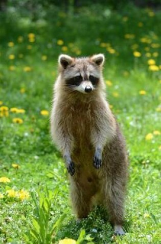 Cover of Standing Raccoon in a Field Animal Journal