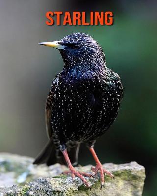 Book cover for Starling