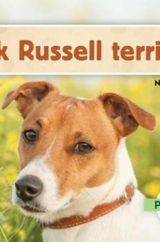 Cover of Jack Russell Terriers (Jack Russell Terriers) (Spanish Version)