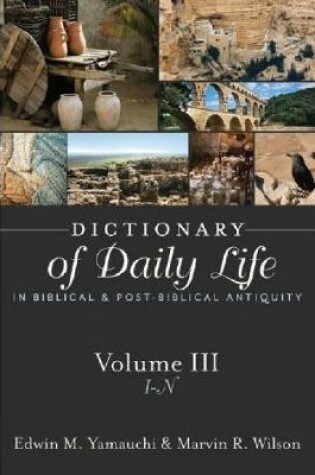 Cover of Dictionary of Daily Life in Biblical and Post-Biblical Antiquity