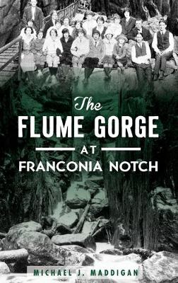 Book cover for The Flume Gorge at Franconia Notch